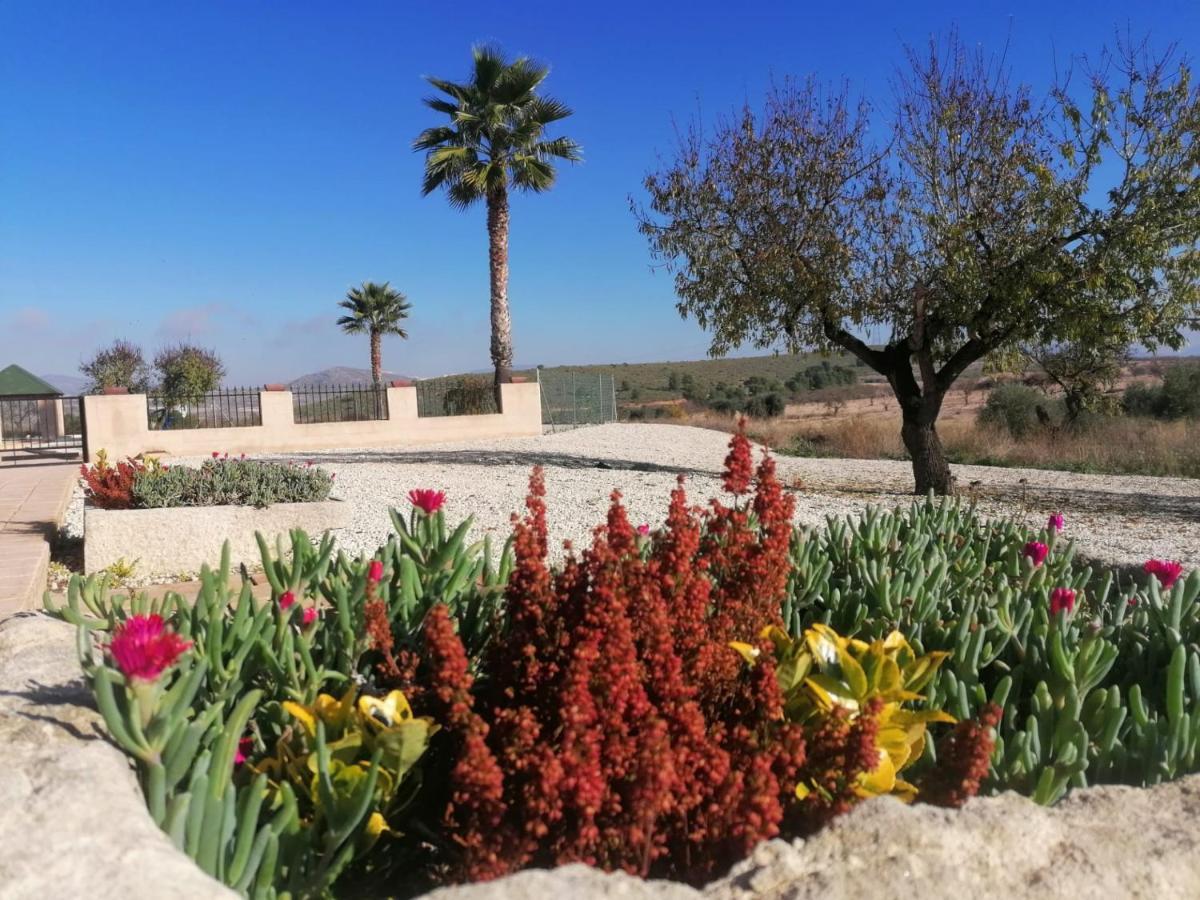 Finca Guillermo Murcia Canada del Trigo Екстер'єр фото