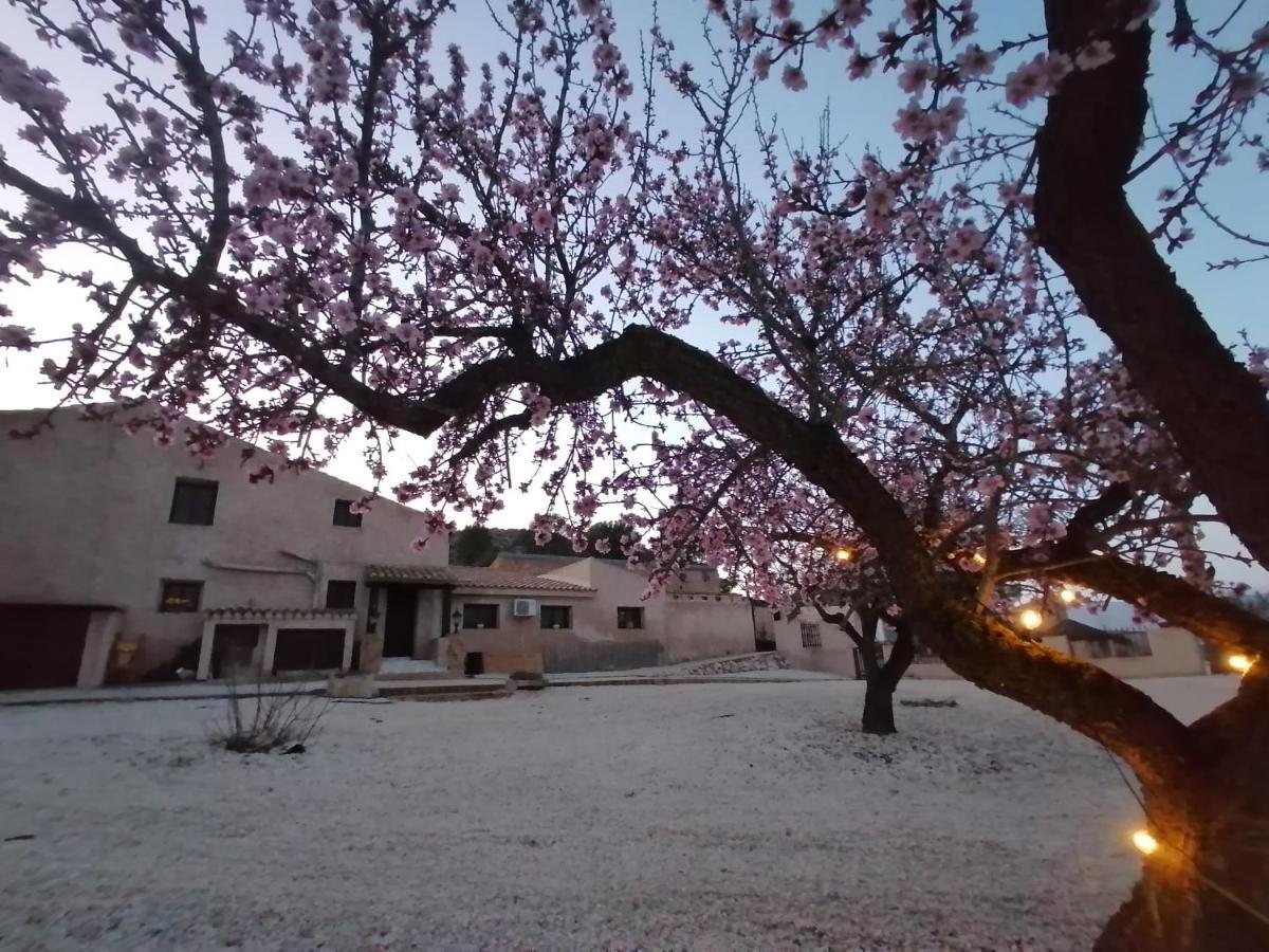 Finca Guillermo Murcia Canada del Trigo Екстер'єр фото